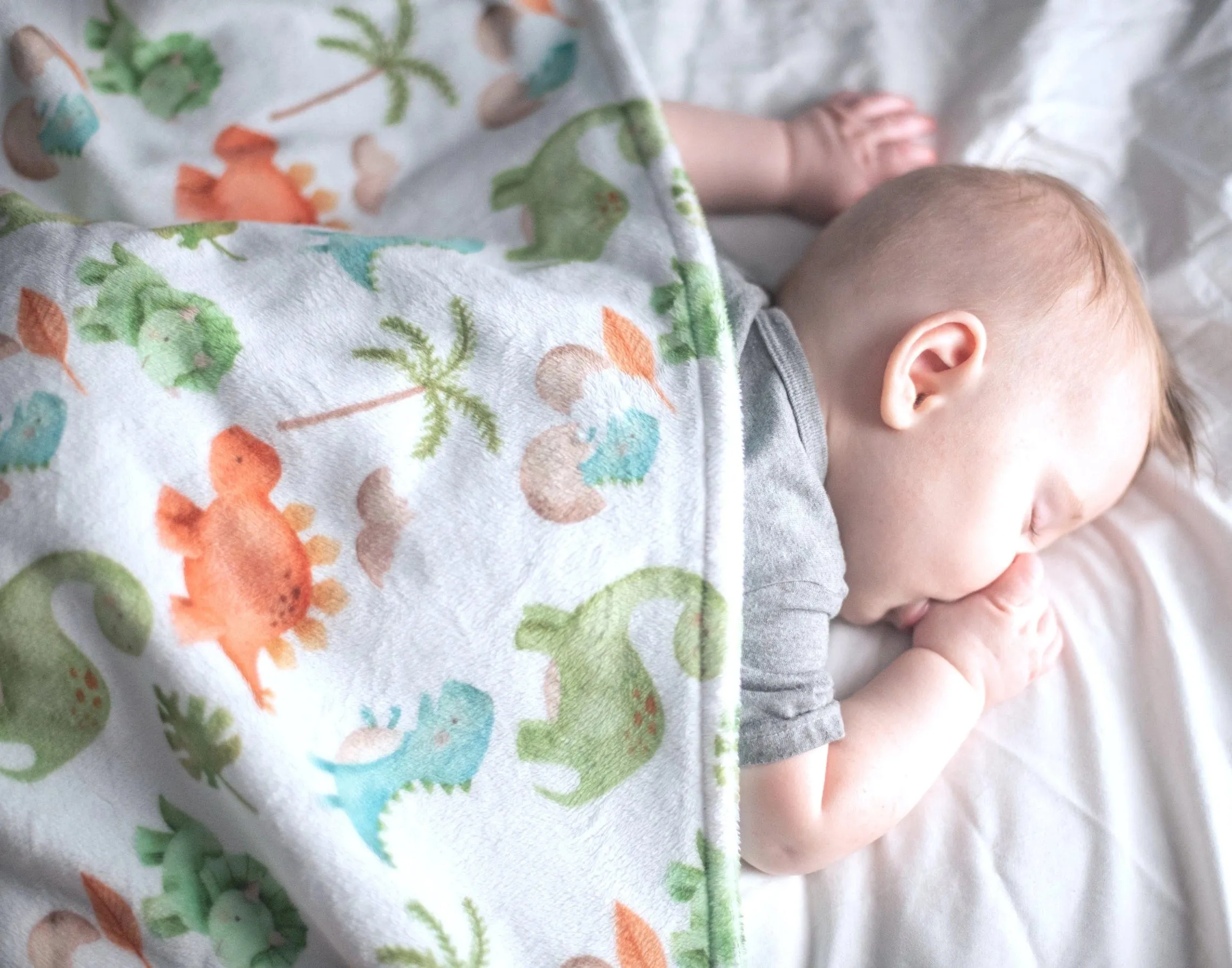 Baby & Toddler Minky Blanket - Dinosaurs