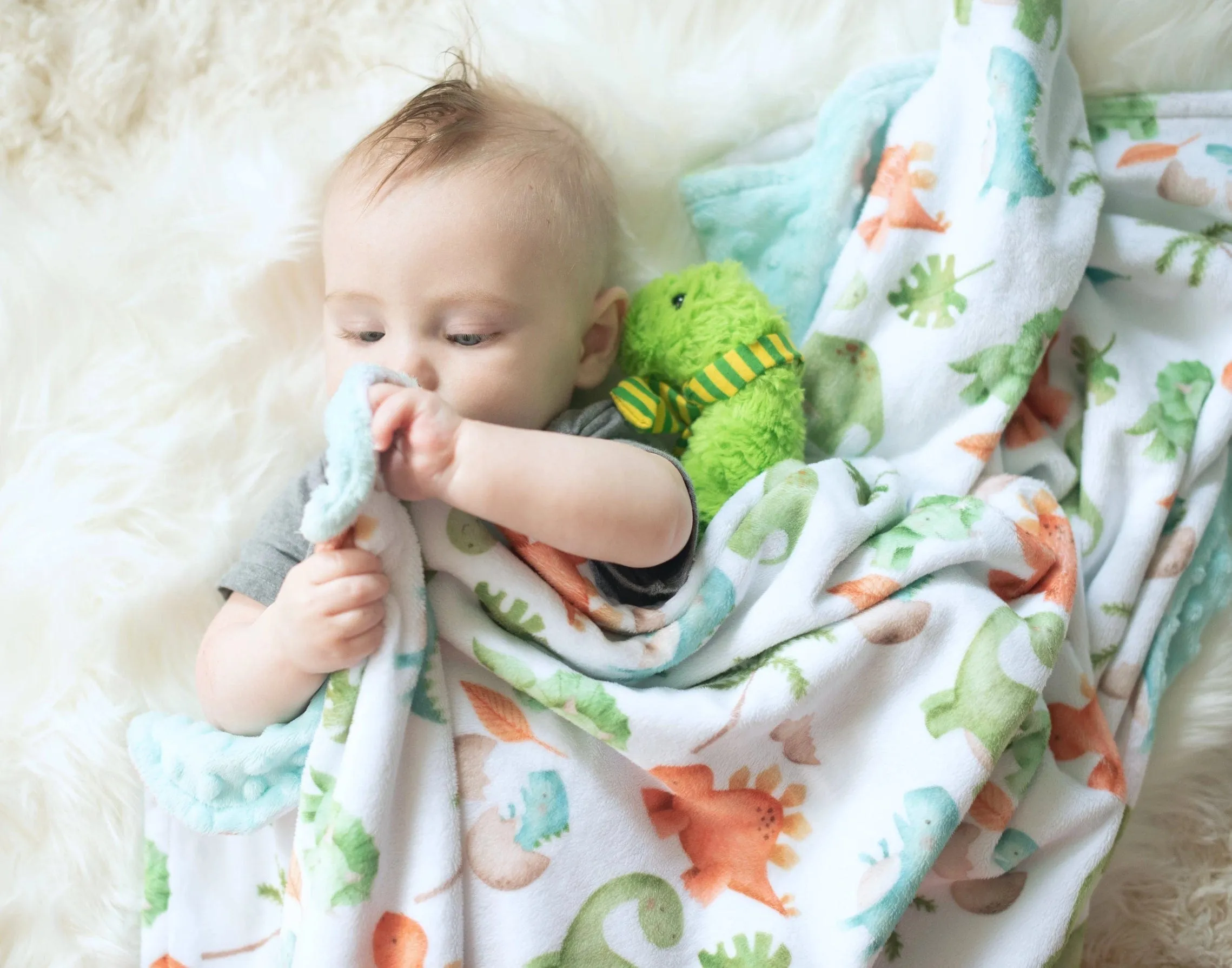 Baby & Toddler Minky Blanket - Dinosaurs