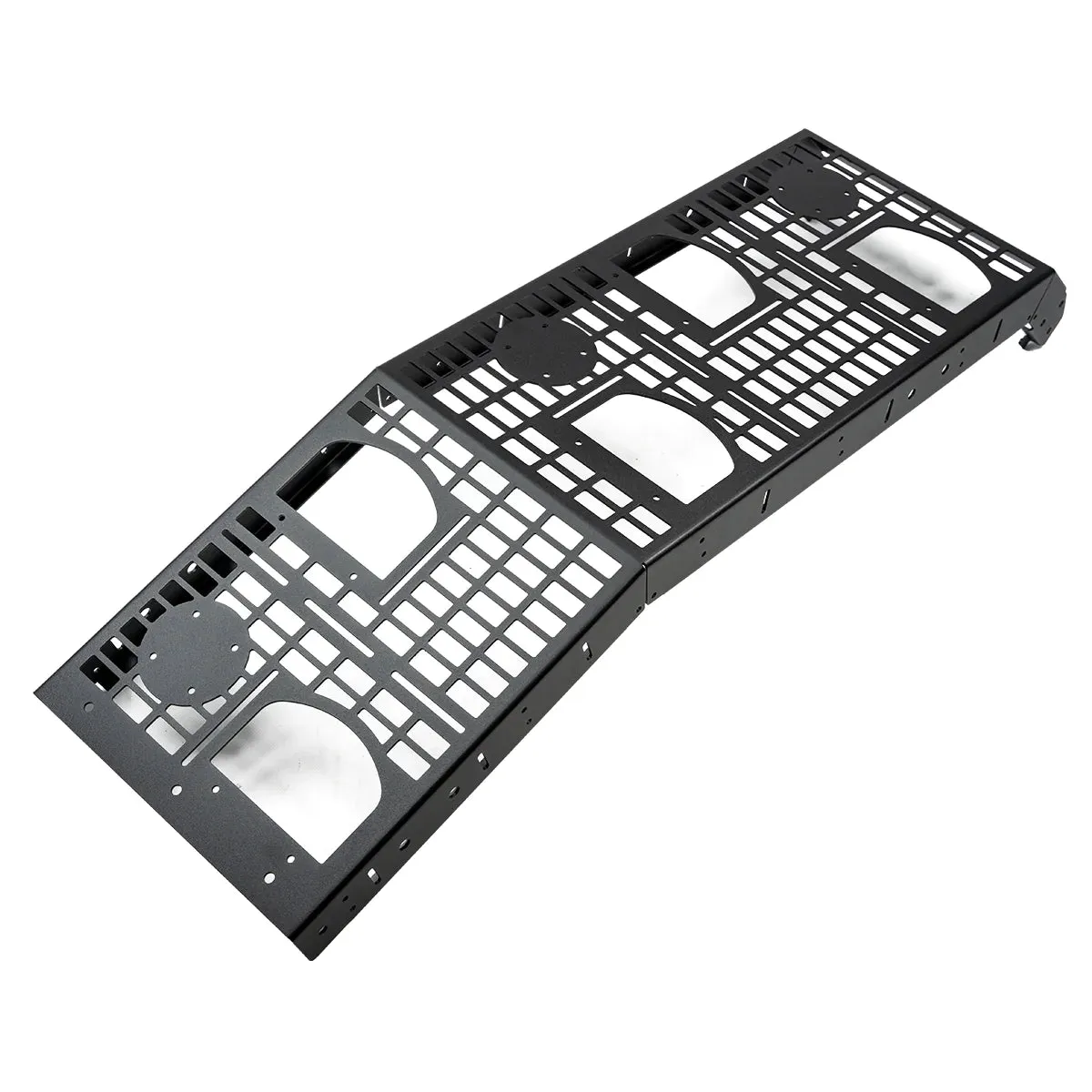 Cali Raised Molle Ladder For 4Runner (2010-2024)