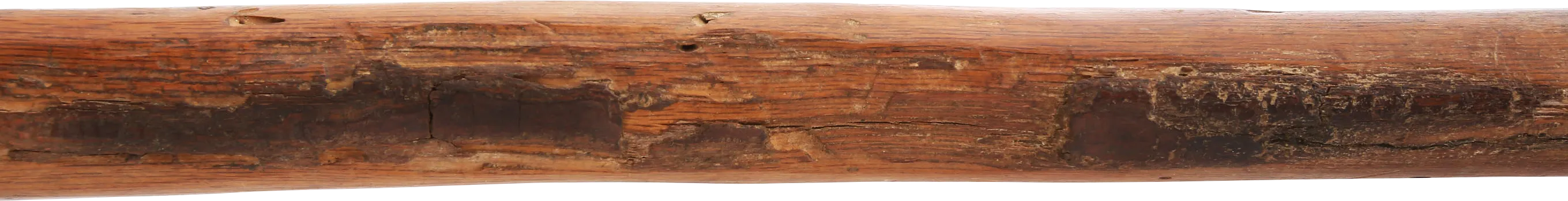 COLONIAL AMERICAN CAMP AXE