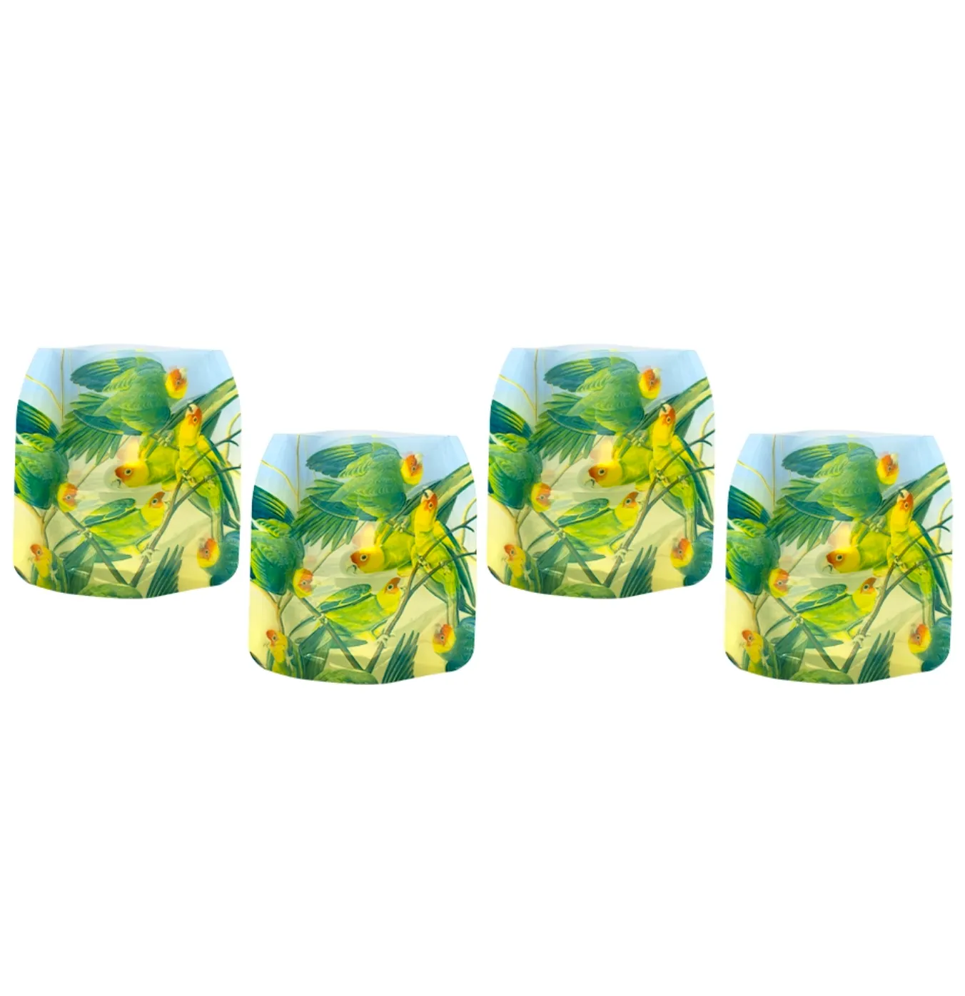 John J. Audubon Carolina Parakeet : Luminary Lantern / Candle Holder